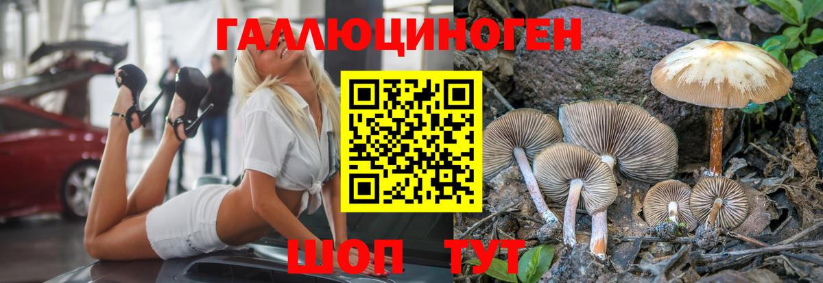 Псилоцибиновые грибы Magic Shrooms  Вход с VPN  цены наркотик  Урай 